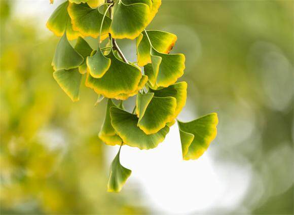 很多时候越懂松弛越有力量 张弛有度事半功倍