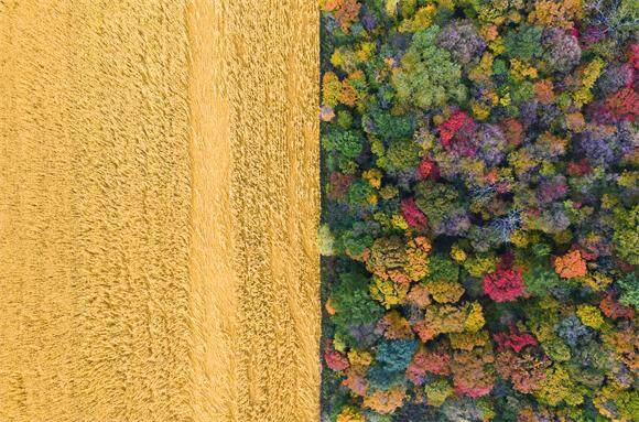 很多时候越懂松弛越有力量 张弛有度事半功倍