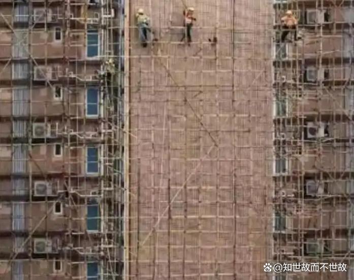 竹架上的香港:55条生命能否终结千年工艺?