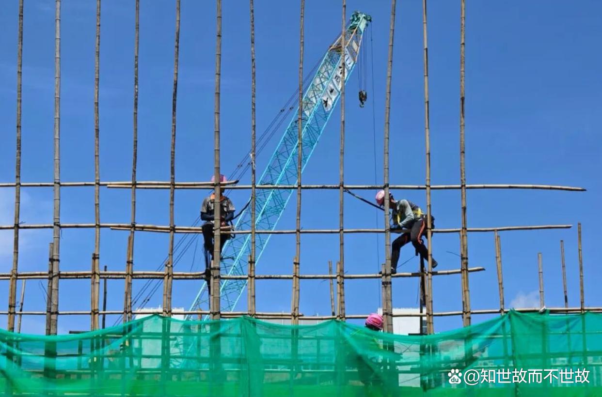 竹架上的香港:55条生命能否终结千年工艺?