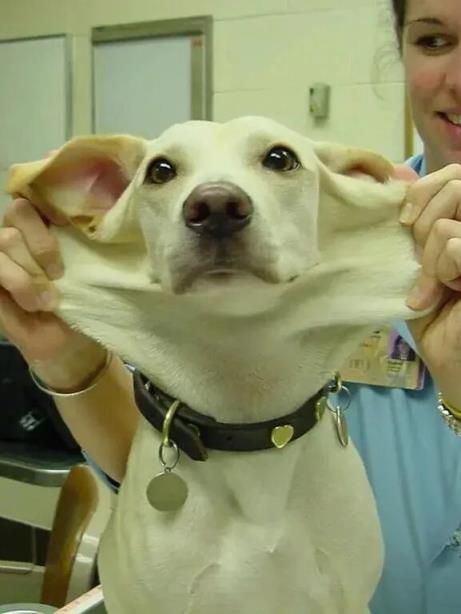 世界上皮肤最有“弹性”的男子 看完可能整个人都不好了(图6)