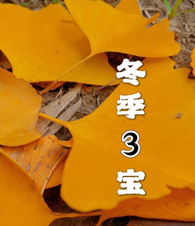 小雪过后要忌嘴！别光吃萝卜和白菜，建议多吃冬季3宝，顺利过冬