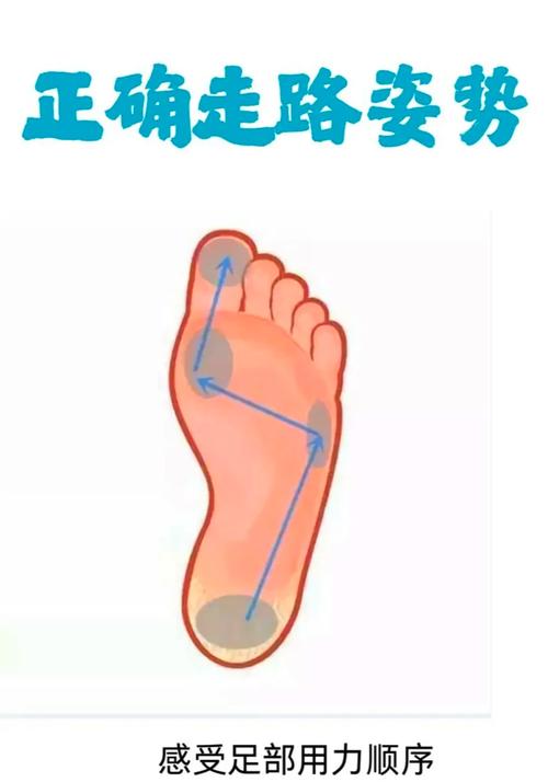 跑步时脚对地面力的示意图？跑步脚的哪个部位着地