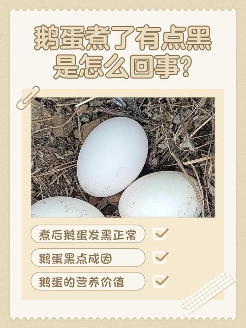 鹅蛋有股臭味还能吃吗为什么?鹅蛋发臭的原因