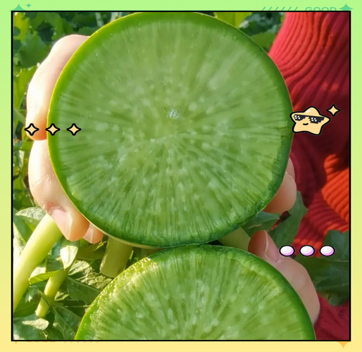 糠心萝卜怎么做好吃?萝卜糠心了怎么做好吃