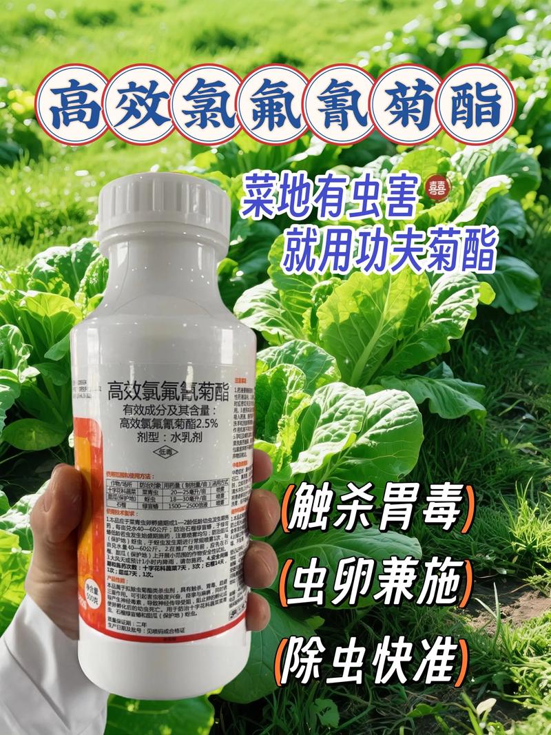 菊科植物用什么农药除草?菊科植物入药的有哪些