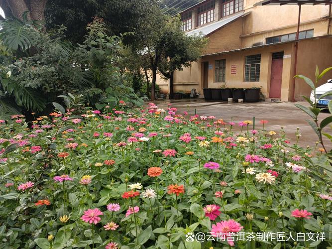 昆明菊花村市场在哪里啊最近？昆明菊花村在哪个区