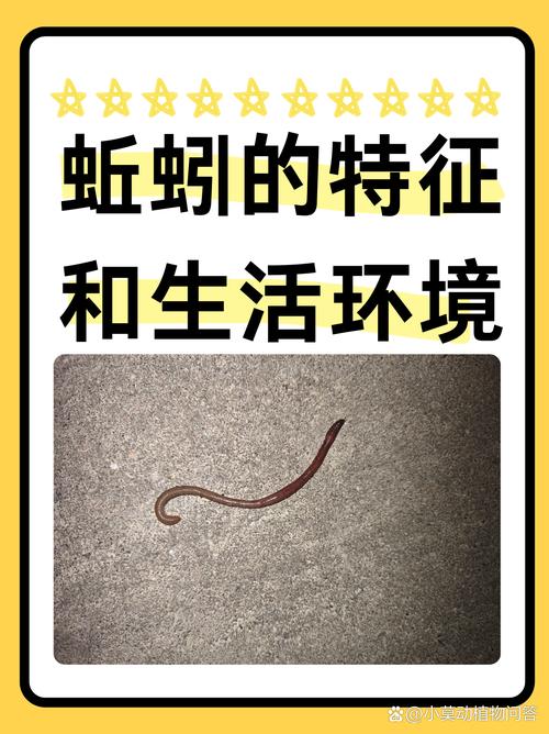 蚯蚓在水里会不会淹死?蚯蚓放水里能活多久