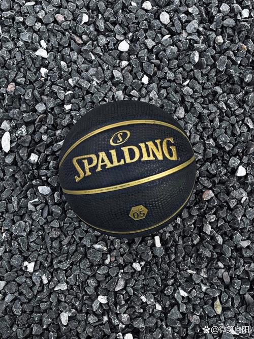spalding是什么篮球？篮球rings是什么意思