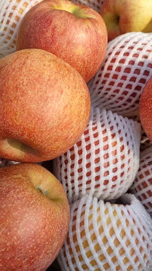 苹果是什么气味的?？苹果是什么香味的