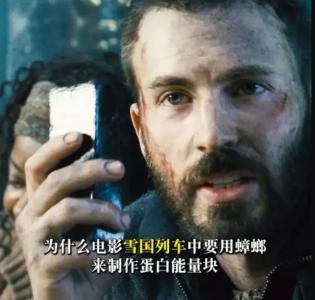 为什么雪国列车里要用蟑螂做蛋白能量块