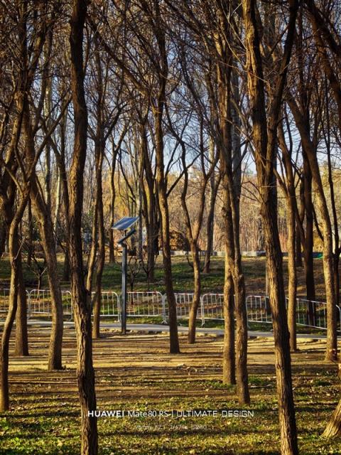 华为Mate80RS非凡大师上手：一部细节体验拉满的大师旗舰(图17)