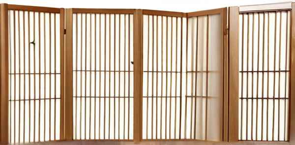 刮痧十大病症是什么病