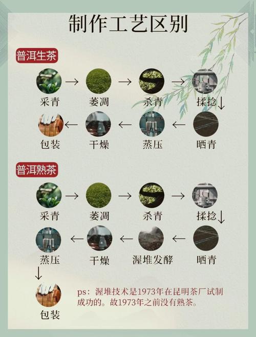 请问普洱茶是不是红茶？普洱茶是红茶吗百度