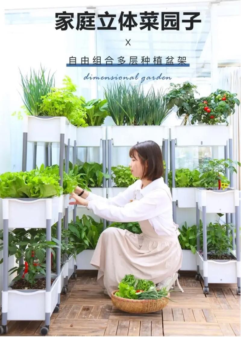 怎样在室内种植蔬菜？怎样在室内种植蔬菜和水果