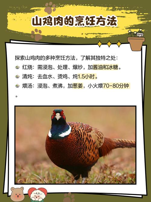 请问山鸡好养吗怎么养？请问山鸡好养吗怎么养的