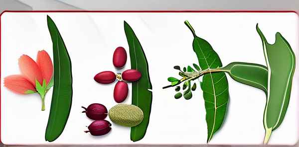 十大疏肝解郁药是什么药(图1)