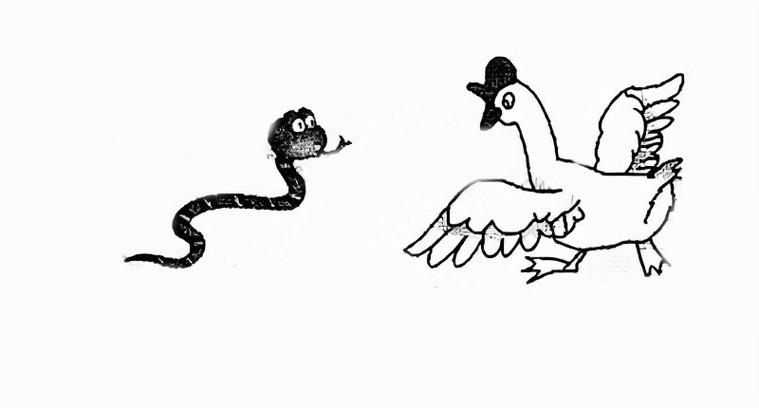 为什么鹅的粪便能驱蛇？鹅大便对蛇有什么伤害