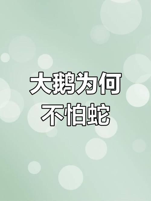 为什么鹅的粪便能驱蛇?鹅大便对蛇有什么伤害