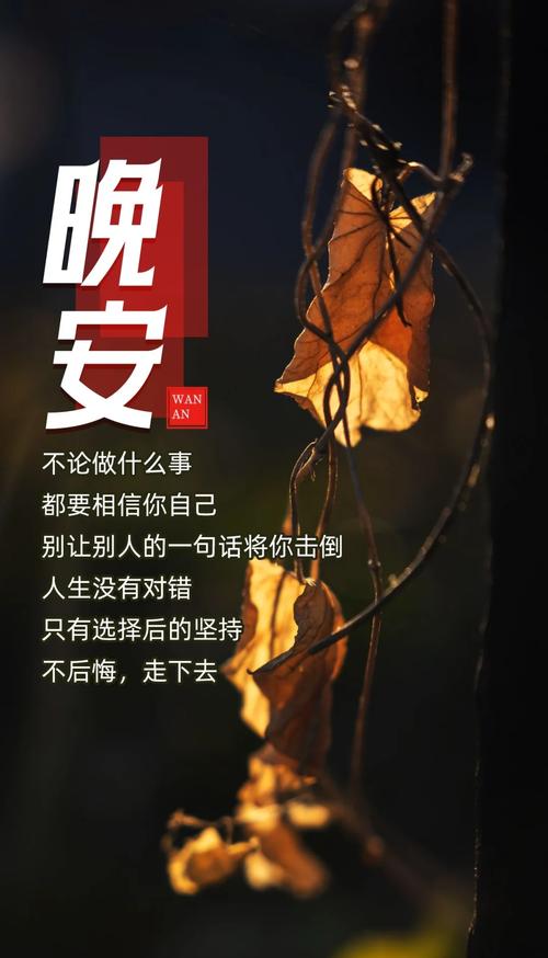 晚安问候短信大全？晚安问候的暖心短句子