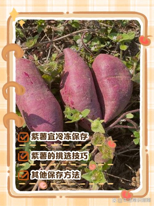 吃了发霉紫薯怎么办小妙招?吃了发霉紫薯怎么办小妙招视频