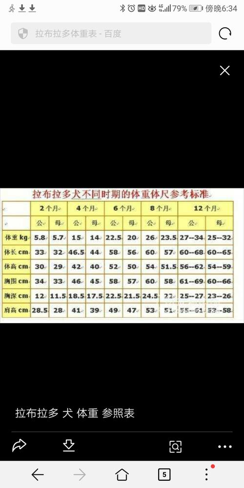 拉布拉多犬体重多少?拉布拉多犬体重多少斤