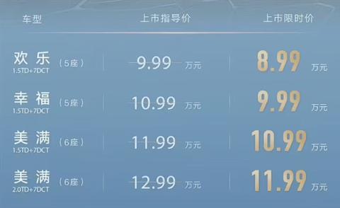 真便宜大碗 新款吉利豪越L上市：不到9万买中型SUV(图2)