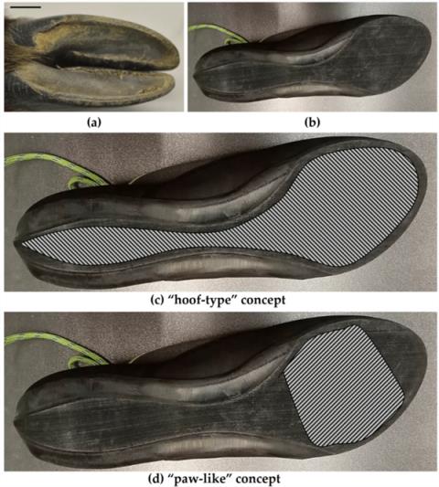 为什么山羊能够攀爬悬崖峭壁 和猴子相比谁更强(图3)