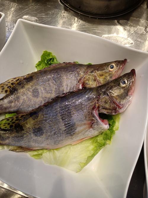 酒席一般吃什么鱼？酒席用什么鱼好