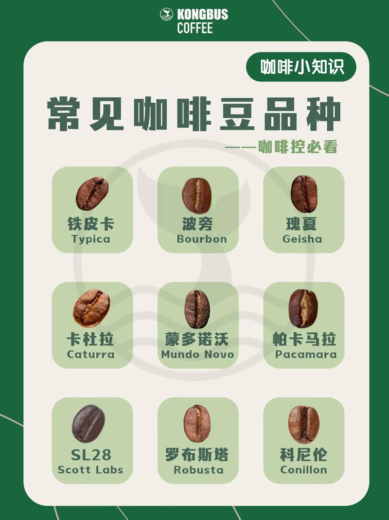 请问最好哪种咖啡豆比较偏酸呢?什么咖啡豆发酸