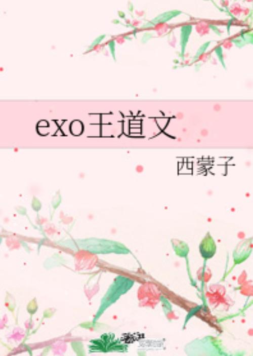 求好看的关于exo的小说推荐？关于exo的小说完结晋江