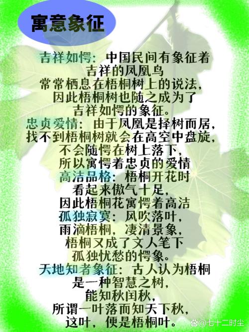 我最熟悉的树梧桐树？介绍梧桐树