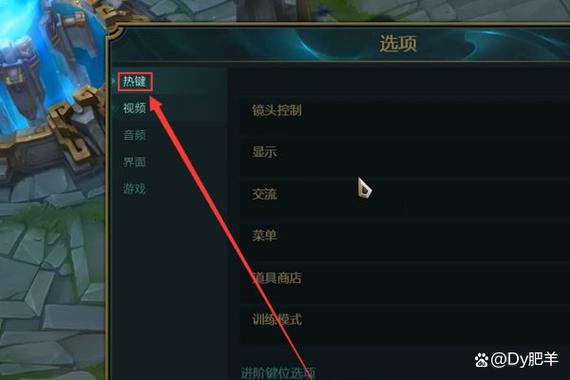 新组装的电脑如何提高LOL帧数?有哪些优化技巧?