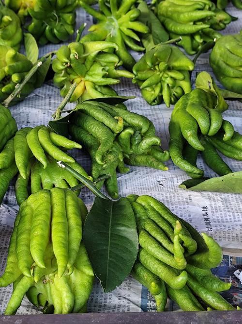 佛手瓜有点点发黄可以吃吗?佛手瓜有点黄能吃吗