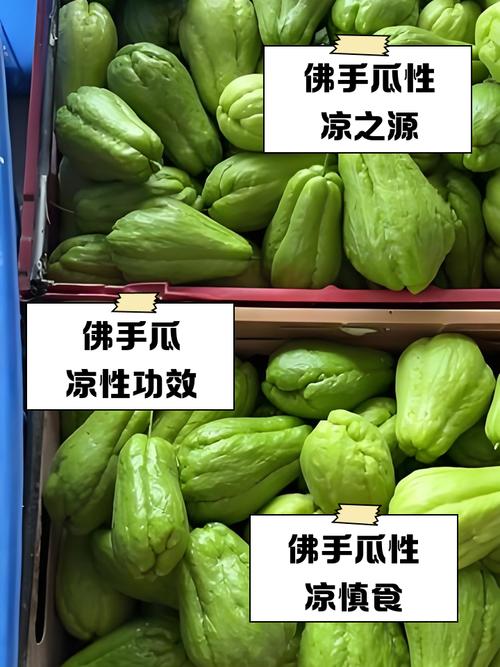 佛手瓜有点点发黄可以吃吗?佛手瓜有点黄能吃吗