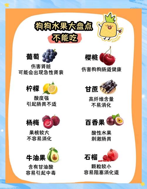 拉布拉多犬能吃什么水果和食物？拉布拉多能吃的水果和蔬菜