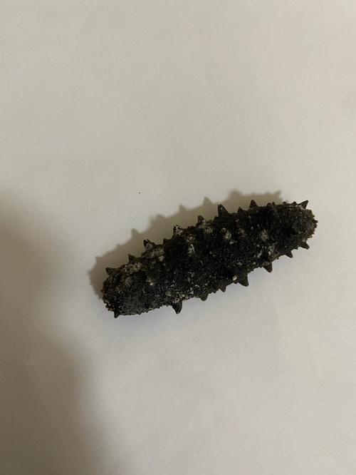 干海参长白的东西了还能吃吗？干海参看起来有白色霉样点能吃吗