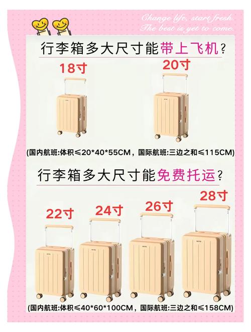 开飞机需要具备什么条件？开飞机有什么条件