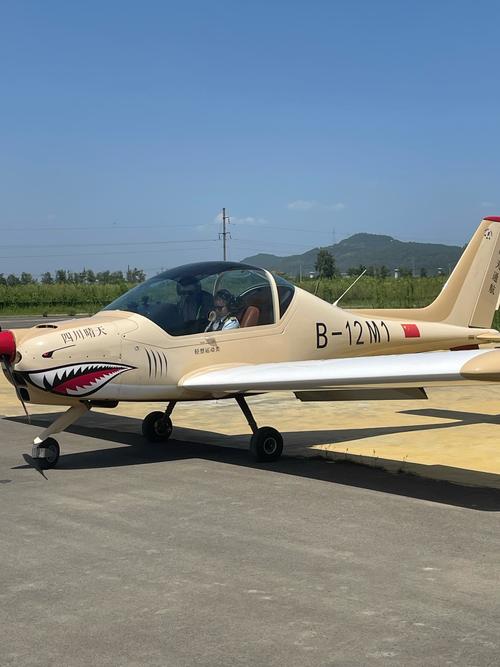 开飞机需要具备什么条件?开飞机有什么条件