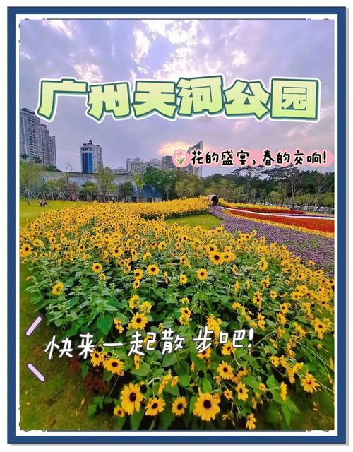 广州天河区附近景点?广州天河区附近景点排名