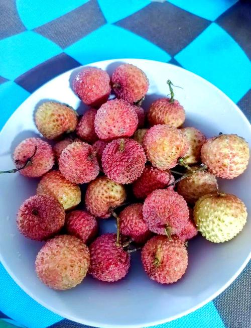 荔枝放水里能保鲜吗冬天？荔枝可以放水里面浸着吗