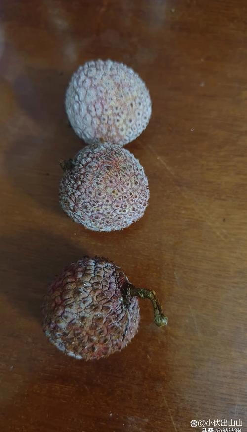 荔枝放水里能保鲜吗冬天?荔枝可以放水里面浸着吗