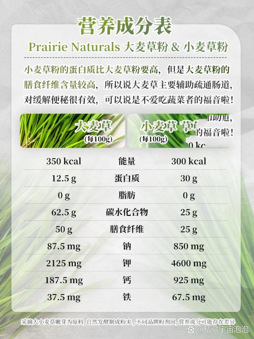 小麦叶青汁功效与作用？小麦叶榨汁有什么功效