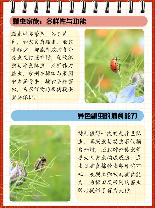 昆虫对人类有利的方面？昆虫对人类的重要性