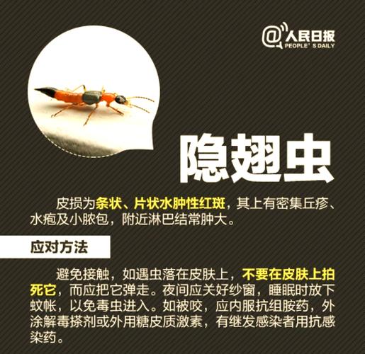 昆虫对人类有利的方面?昆虫对人类的重要性