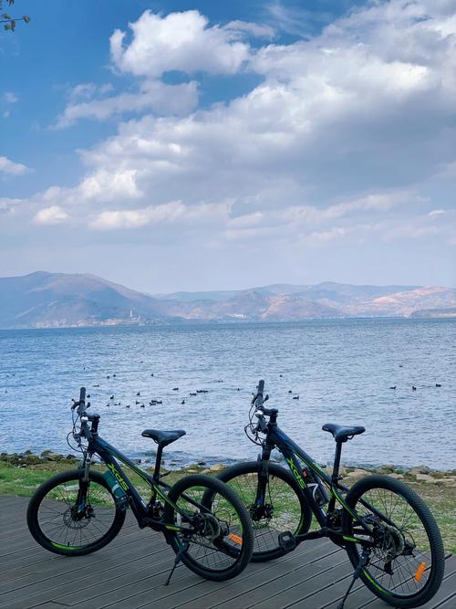 大理哪里可以买自行车？大理哪里可以买自行车的