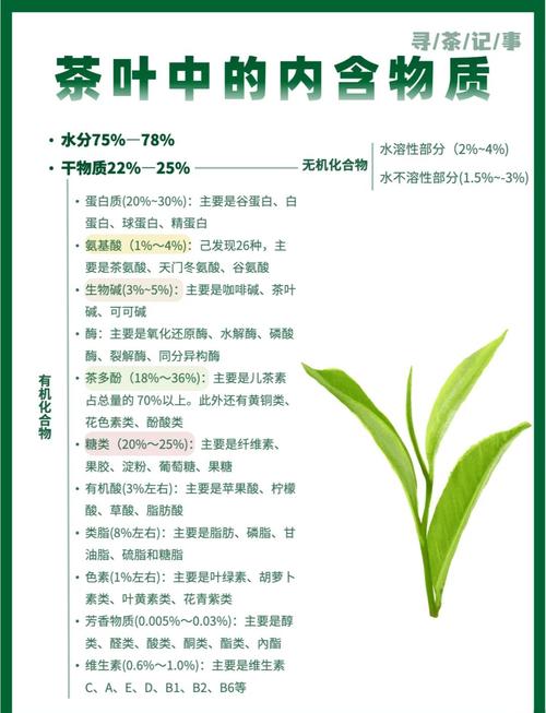 普洱茶所含物质和作用？普洱茶里含有哪些内含物质