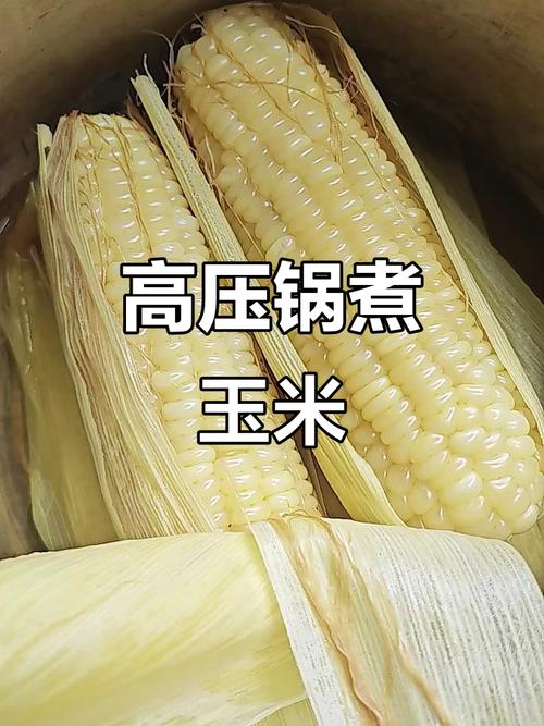 高压锅煮玉米怎么煮多长时间熟?高压锅煮玉米要煮多久才熟透