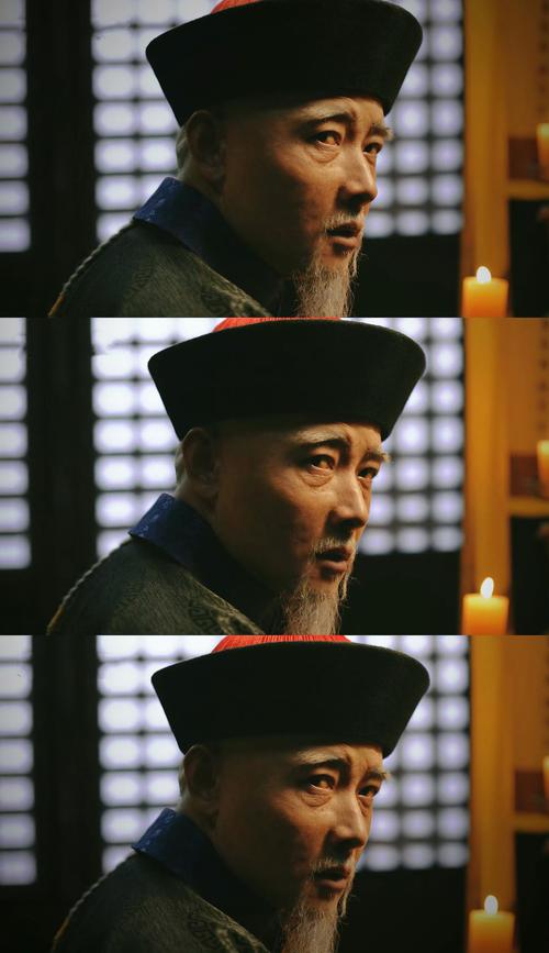 康熙王朝里的魏东亭是什么官？康熙王朝魏东亭的地位