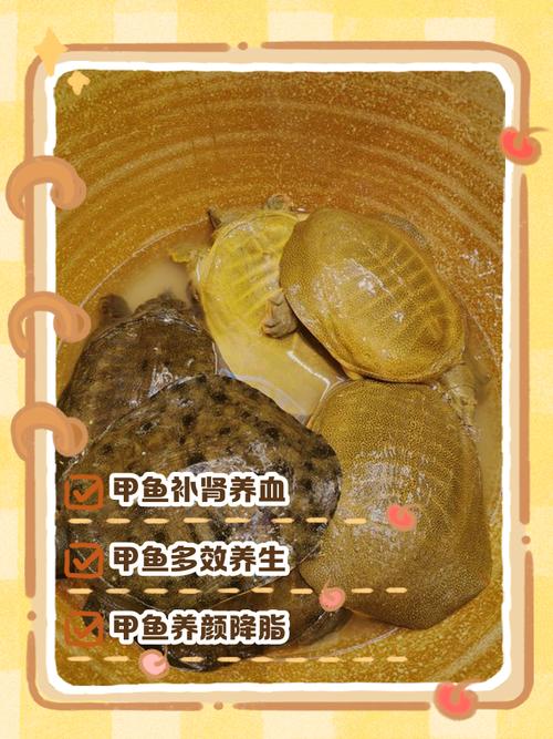 吃甲鱼有什么效果？吃甲鱼有什么效果和作用